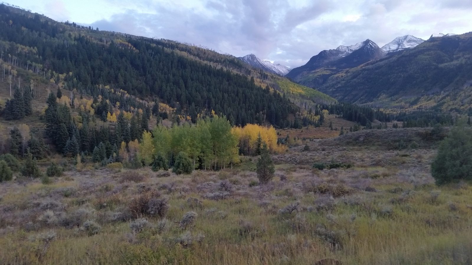 A valley of sagebrush and autumn aspens below snow-dusted peaks